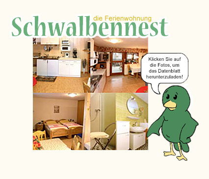 Die Ferienwohnung Schwalbennest